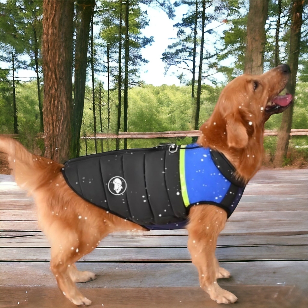 🐾 Waterproof Dog Coat with Harness Hole, New